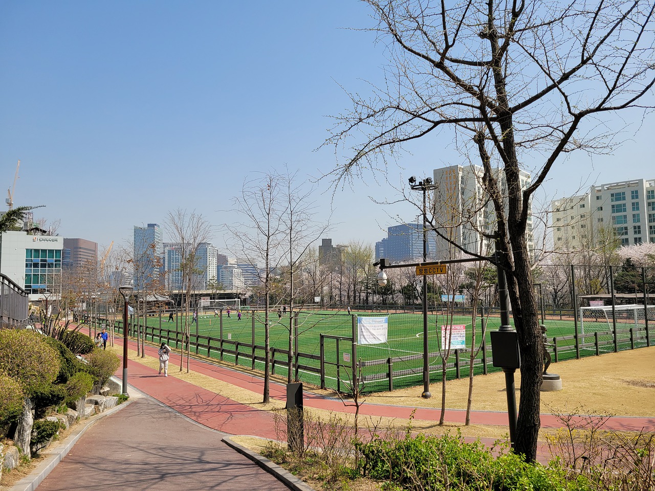 冠路上拼搏