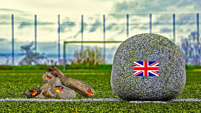 還引起了媒 還引起了媒