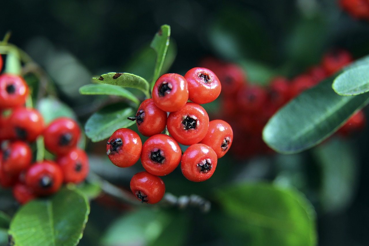 这支逐梦而 这支逐梦而