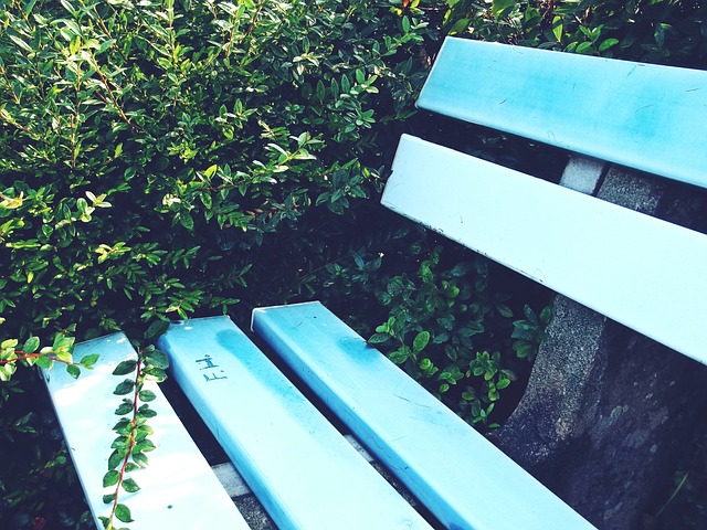 国际标准的 国际标准的