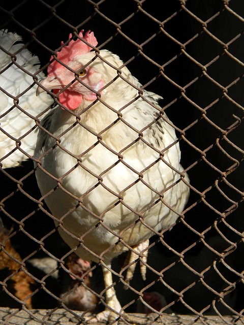 这次事件会 这次事件会